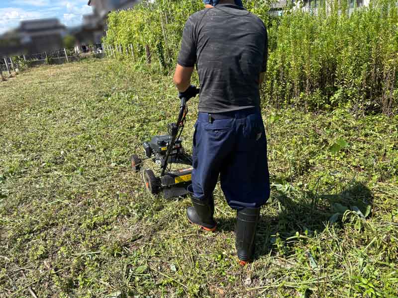 自走式草刈機クサノザウルスを使った空き地の草刈り作業