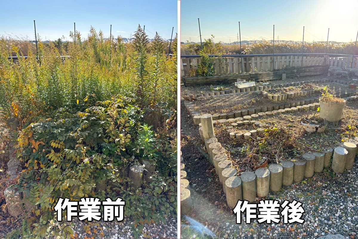 石巻市河南地区|司法書士の先生から依頼の草刈り