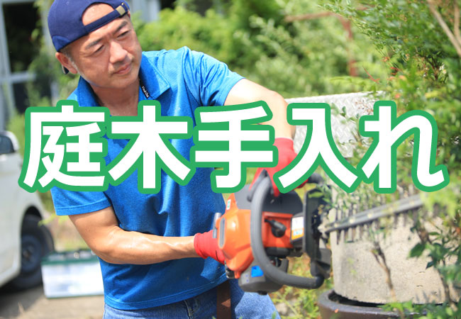 庭木手入れ