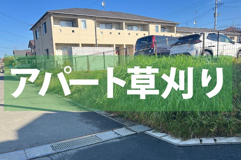 アパート草刈り